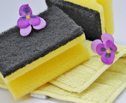 10 Best Kitchen Sponges that don’t Smell 2023