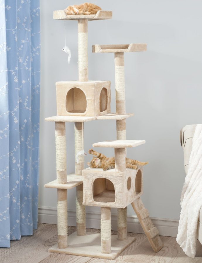 Cat Play House Buyer’s Guide