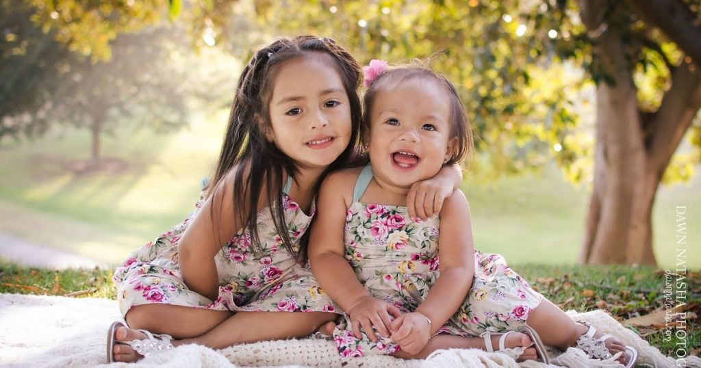 10 Best Kitchen Sponges that don't Smell 2021 Let Her Pick