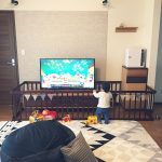 baby gates for tv stand