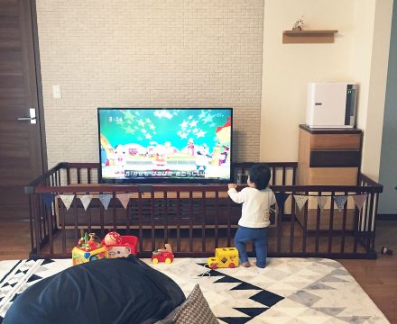 baby gates for tv stand